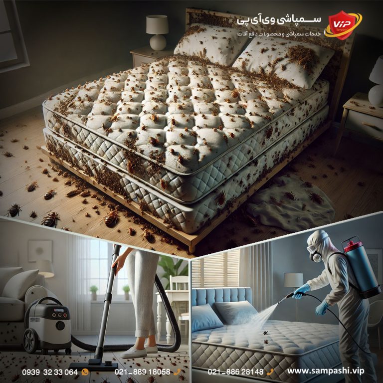 چگونه ساس را ریشه کن کنیم