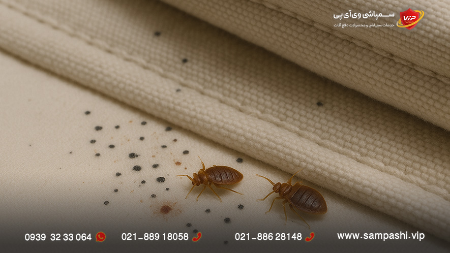 علائم ساس در منزل