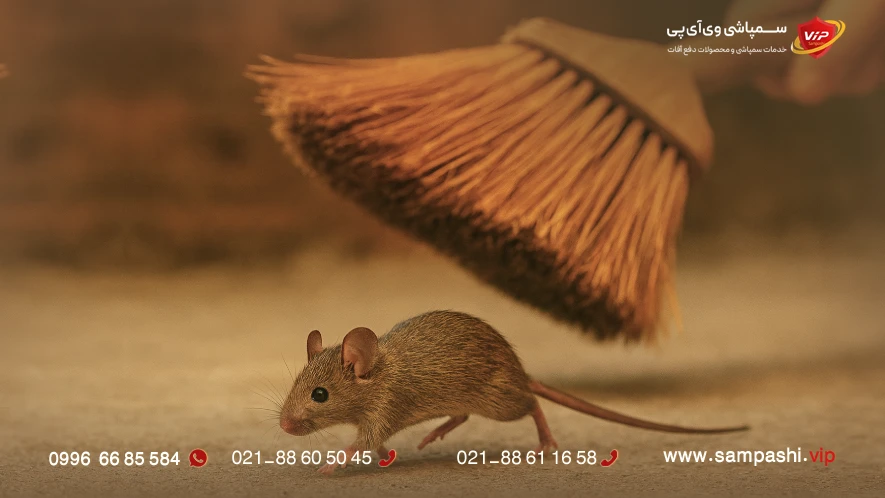 راحت ترین راه گرفتن موش