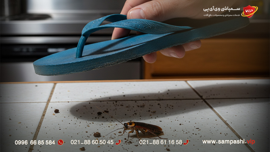 روش‌های مؤثر برای از بین بردن سوسک ریز آشپرخانه