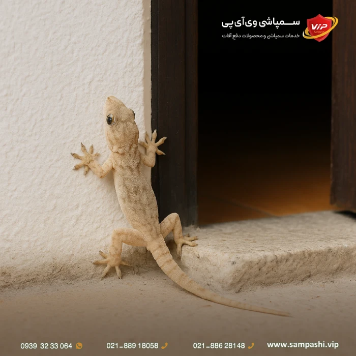 کشتن مارمولک در خانه