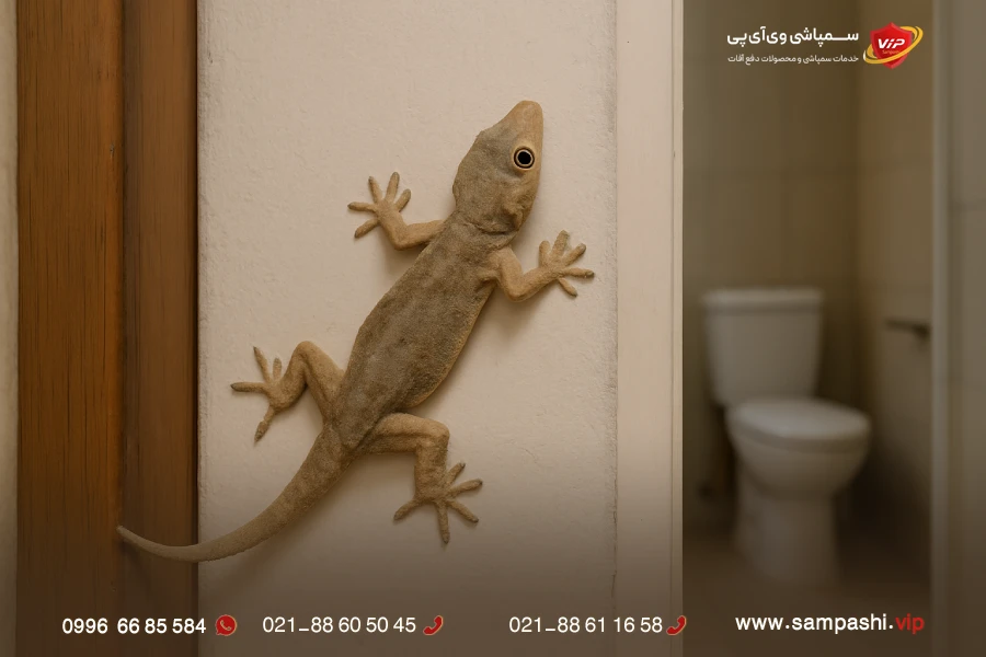 کشتن مارمولک در خانه